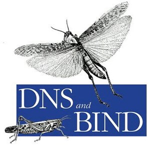 Hướng dẫn cấu hình DNS Server trên Ubuntu Server 11.04