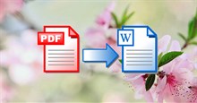 Hướng dẫn chuyển file PDF sang Word Online cực nhanh