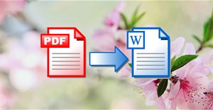 Hướng dẫn chuyển file PDF sang Word Online cực nhanh