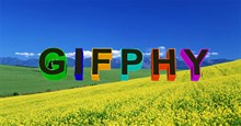 Hướng dẫn tạo ảnh Gif nhanh chóng với Giphy