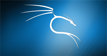 Cách cài Kali Linux trên VMware cực dễ, có GUI