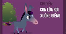 Câu chuyện con lừa già và bài học cuộc sống đáng suy nghĩ