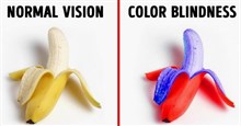 Hãy thử xem thế giới dưới con mắt của người mù màu trông như thế nào nhé