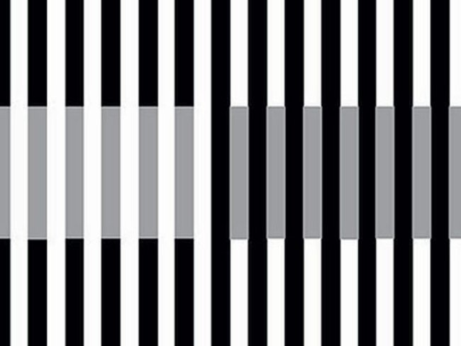 Bên nào nhiều phần trắng hơn?