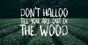 35 Font chữ đẹp, độc lạ miễn phí