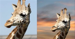 Hướng dẫn tách ảnh ra khỏi nền bằng Photoshop