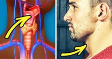 8 sự thật về cơ thể nam giới mà chính họ cũng không biết