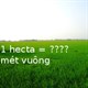 Đố bạn: 1 Ha (hecta) bằng bao nhiêu m2, km2?