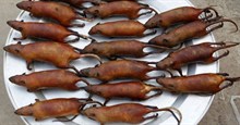 Ăn thịt chuột có lành, có tốt không?