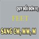 Đố bạn: 1 feet bằng bao nhiêu mét?