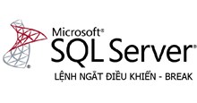 Lệnh BREAK (Ngắt điều khiển) trong SQL Server