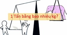 1 tấn bằng bao nhiêu tạ, yến, kg