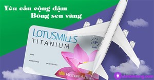 Cách cộng dặm Bông sen vàng