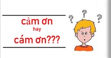 Cám ơn hay cảm ơn mới đúng chính tả?