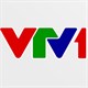 Lịch phát sóng VTV1 hôm nay 14/01/2026