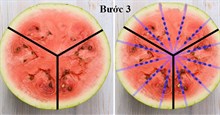 Tuyệt chiêu giúp bổ dưa hấu có hạt thành không hạt