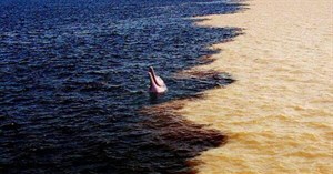 19 bức ảnh giải mã những điều bí ẩn trên thế giới