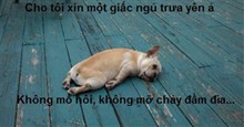 Stt về nắng nóng bá đạo nhất