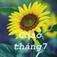 Những câu nói hay về tháng 7, stt chào tháng 7 yêu thương