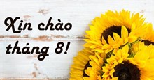 Những câu nói hay về tháng 8, lời chào tháng 8 hay