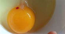 Đập trứng gà ra bát thấy có vệt đỏ như máu, nên ăn hay bỏ đi?