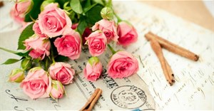 Lời chúc 20/11 cho người yêu, bạn gái, vợ là giáo viên