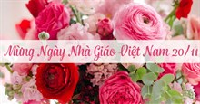 Lời chúc 20/11 cho vợ là giáo viên, chồng là giáo viên 