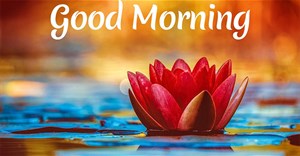 Hình ảnh chào buổi sáng, hình ảnh chào ngày mới đẹp