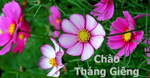 Câu nói hay về tháng 1, stt về tháng 1