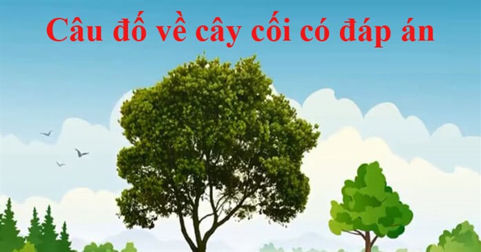 30+ Câu đố về cây cối cho trẻ