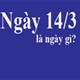 Ngày 14/3 là ngày gì? Ngày 14/3 là Valentine gì?