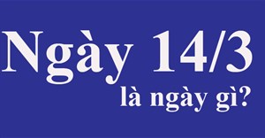 Ngày 14/3 là ngày gì? Ngày 14/3 là Valentine gì?