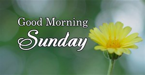 Lời chúc Chủ nhật, stt về Chủ nhật vui vẻ, tràn đầy yêu thương