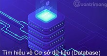 Cơ sở dữ liệu là gì? Database là gì?
