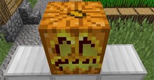 Những điều thú vị bạn có thể làm với Bí Ngô trong Minecraft
