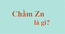 Chằm Zn là gì?