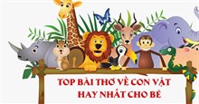 30+ bài thơ về con vật, bài đồng dao về con vật ngắn gọn, hay cho bé