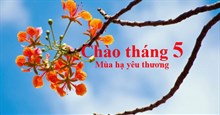 Stt chào tháng 5, những câu nói hay về tháng 5 rực rỡ