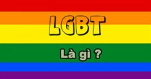 LGBT là gì? LGBTQ+ là gì? Cộng đồng LGBT gồm những ai?
