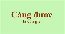 Con Càng đước là con gì?