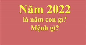 Năm 2022 là năm con gì? Năm 2022 mệnh gì?