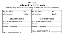 Giấy chứng sinh là gì? Mẫu giấy chứng sinh chuẩn 2026