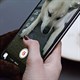 Cách tải Instagram Reels trực tiếp từ ứng dụng