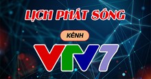 Lịch phát sóng VTV7 hôm nay 11/01/2026