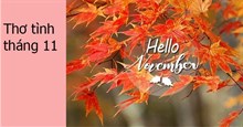 Thơ về tháng 11, thơ tình tháng 11 hay, ý nghĩa
