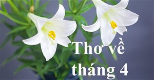 Thơ về tháng 4, thơ hay chào tháng 4
