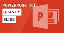 PowerPoint 2019 (Phần 8): Quản lý slide