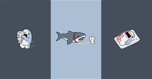 Hình nền Cá Mập Cute, ảnh hình nền cá mập cute