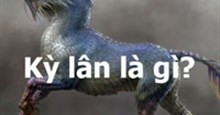 Kỳ lân là gì? Tại sao các công ty lại muốn trở thành kỳ lân?
