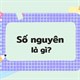 Số nguyên là gì? Số nguyên dương là gì? Số nguyên âm là gì?